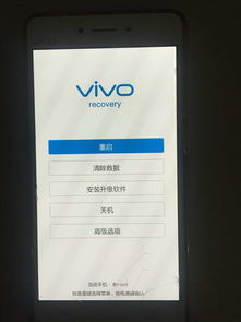 vivo手机如何导出数据