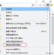 Win11系统如何配置IE浏览器兼容性设置