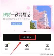 醒图怎样更换照片背景图