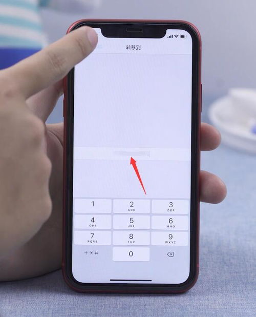 苹果手机呼叫转移设置指南
