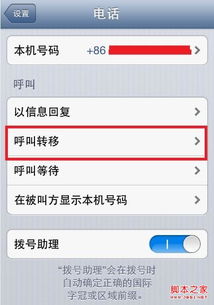 苹果手机呼叫转移设置指南