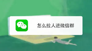 如何在群聊中添加好友