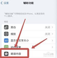 苹果手机朗读功能如何设置