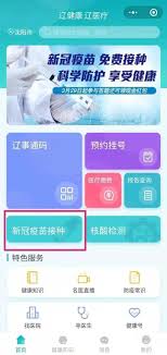 新冠疫苗接种记录如何查询