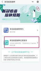 新冠疫苗接种记录如何查询