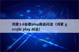 谷歌play商店闪退原因