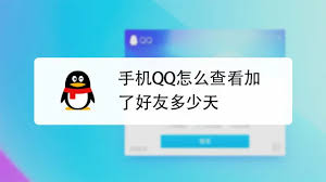 qq可以加多少好友