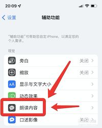 苹果手机朗读功能如何开启