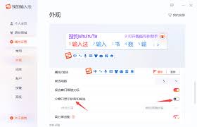 搜狗输入法设置指南：打字时显示拼音方法