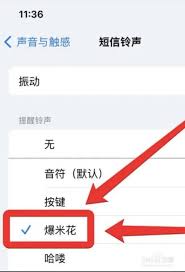 iPhone手机设置短信提示音