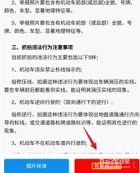 交管12123随手拍功能位置在哪