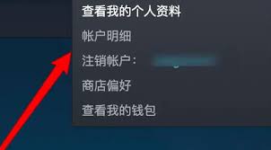 steam手机版用户名丢失