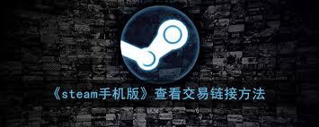 手机版Steam如何查看交易权限