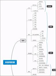 抖音账号权重等级如何查询