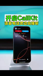 如何在iPhone上启用CallKit功能
