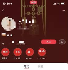 小红书笔记引流操作详解