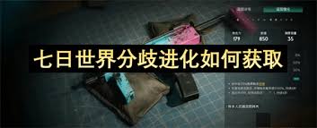 七日世界分歧进化如何获取