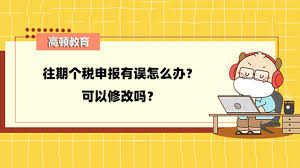 个人所得税申报错误如何修改