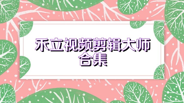 禾立视频剪辑大师合集
