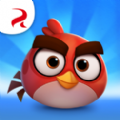 Angry Birds Casual中文版